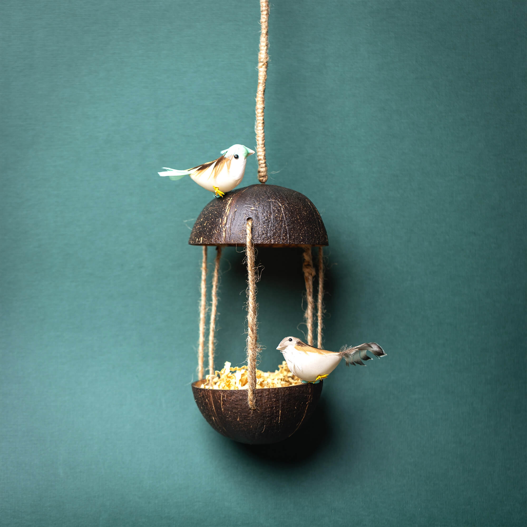 Buy Upcycled Coconut Shell Adi Bird Feeder Online At The Best Price In