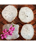 Handcrafted Agate Coaster - White, Pack of 4