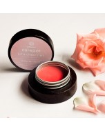 Handcrafted English Rose Tinted Balm - 5 grams