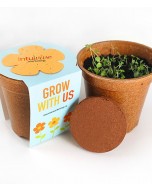 Sprouter Grow Kit (Pack of 5)