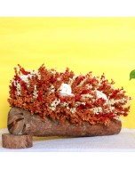 Handcrafted Orange Flower Arrangement on a Wooden Bark