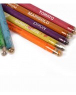 Plantable Seed Pencil, Made from Recycled Paper, Pack of 50