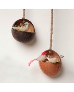 Upcycled Coconut Shell Gudiya Bird Feeder