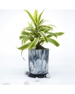 Recycled Plastic Eco Pots - Charcoal
