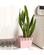 Vandana Planter Pot - Small, Pink