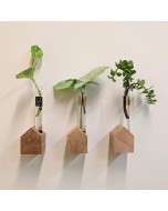 Laran Wood Wall Décor Hut Shaped Planter Holder with Test Tube - Set of 3