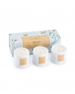 Woody Collection - Set of 3 Candles
