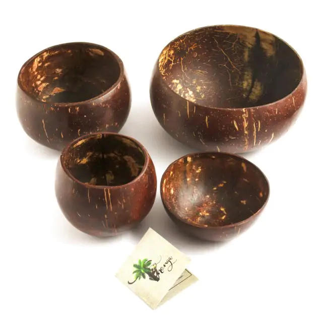 Coconut Bowl Combo Set - Pack of 4