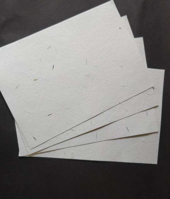 Seed Paper Package - Botanical PaperWorks