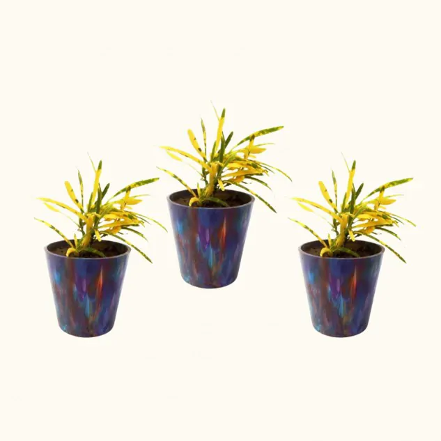 Indoor Mini Pot | Made from Recycled Plastic - Set of 3, Multicolour