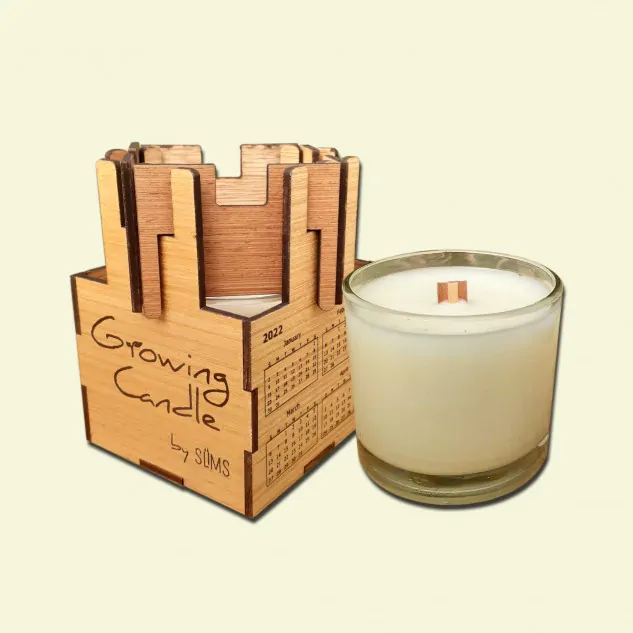 Lavender scented soy wax candles