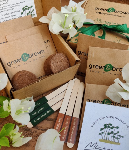 DIY Microgreens Seeds Kit