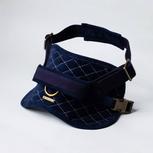 Buy Louis Vuitton Waist Bag Online In India -  India