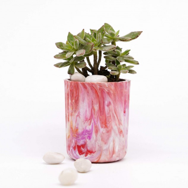 Recycled Plastic Eco Pots - Living Coral
