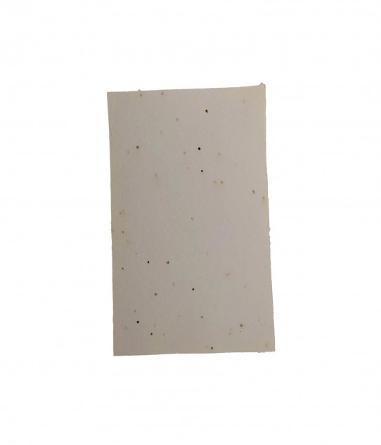 Plantable Seed Paper A4 Size (Pack of 5)
