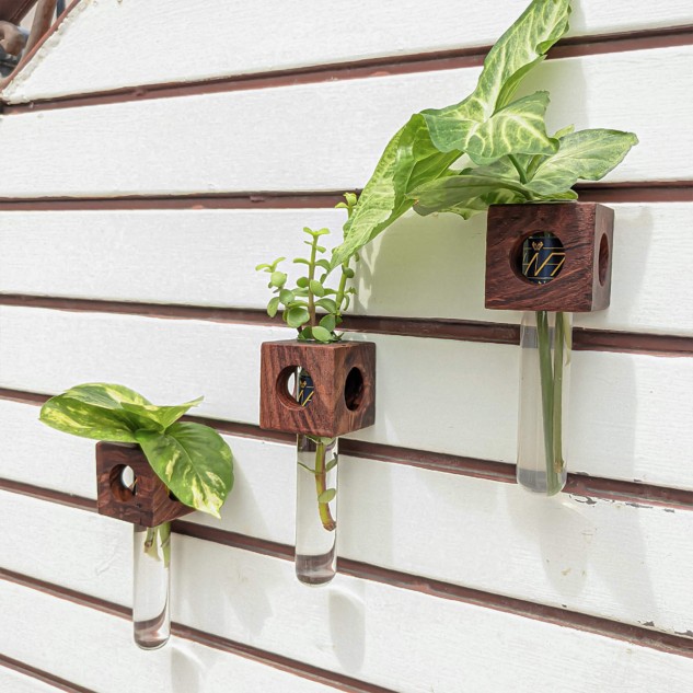 Indian Rosewood Magnetic Wall Planter Holder with Test Tube - Set of 3