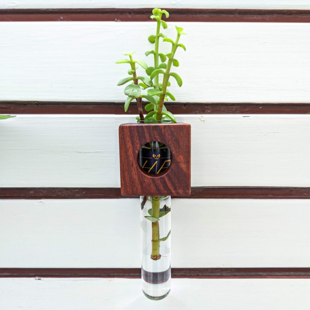 Indian Rosewood Magnetic Wall Planter Holder with Test Tube