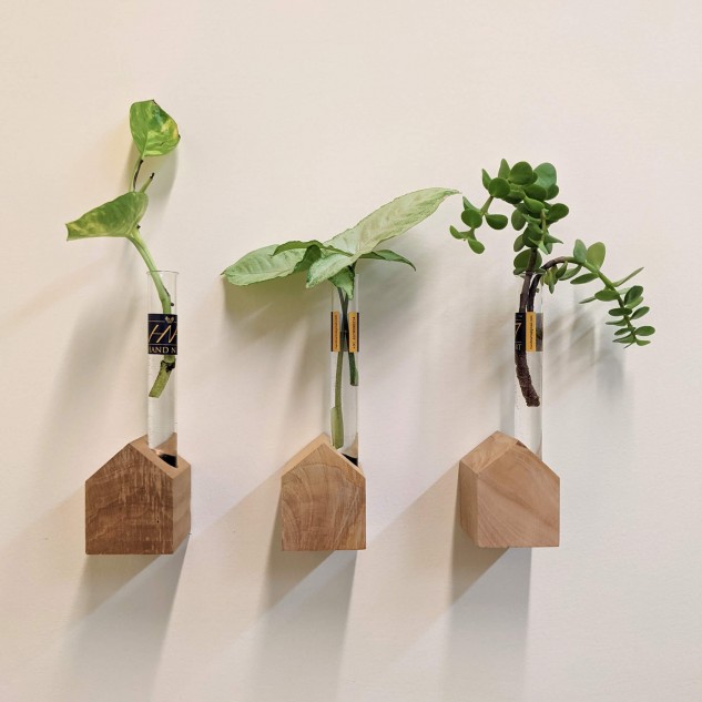 Laran Wood Wall Décor Hut Shaped Planter Holder with Test Tube - Set of 3
