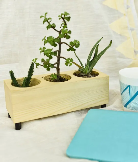 Planter - 3 in 1, Handcrafted
