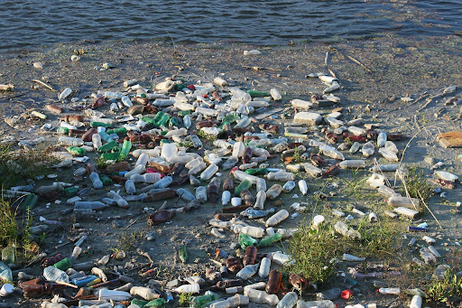 The Plastic Bottle Pollution Crisis - What You Can Do?