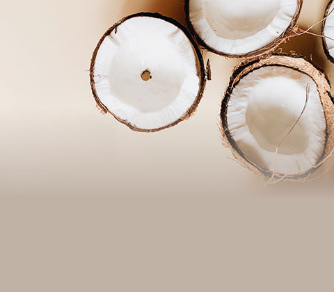 Coconut Category Page Banner